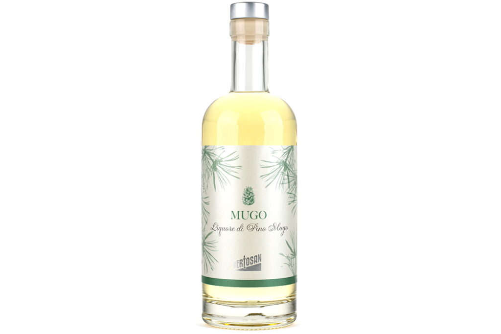 pino mugo