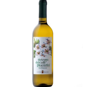 bacchini Ortrugo dei Colli Piacentini